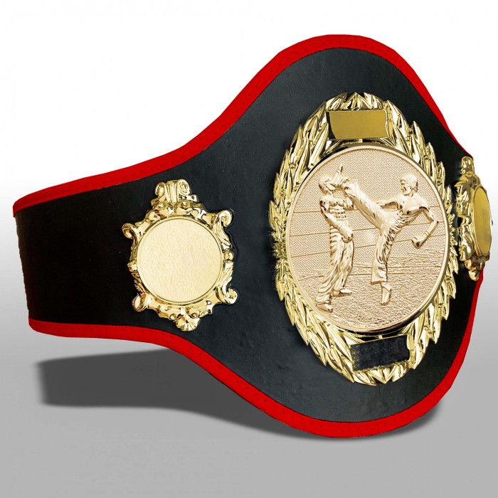KICKBOXING CHAMPIONSHIP BELT-PRO286/G/KBOG-10+ COLOURS